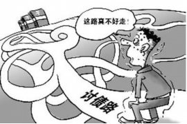 定南定南的要账公司在催收过程中的策略和技巧有哪些？